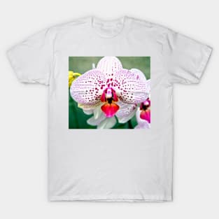 Spotted Violet and White Orchid T-Shirt